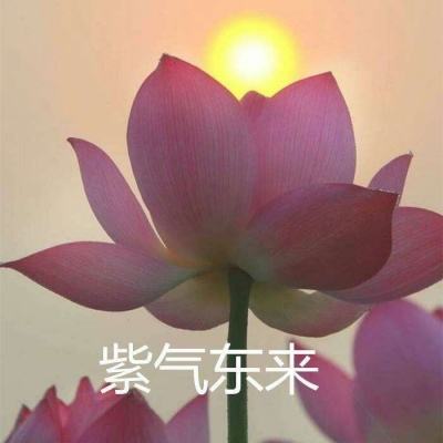 烈焰飞雪手游oppo版下载